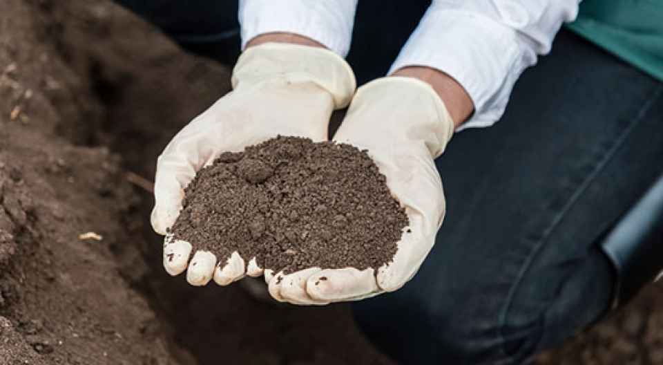contaminated soil sampling